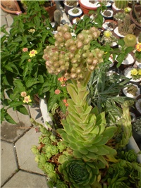 037dee73-Picture 6094.jpg